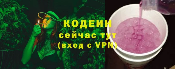 хмурый Елизово