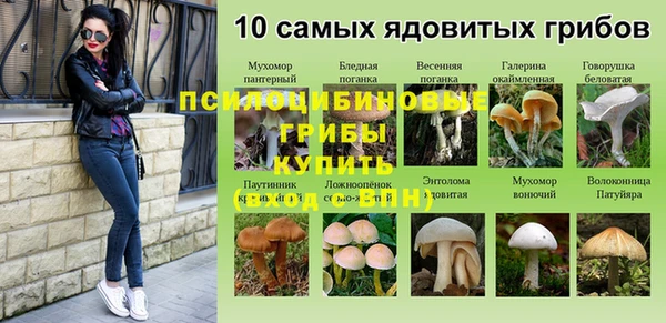 хмурый Елизово