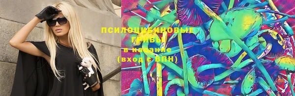 хмурый Елизово